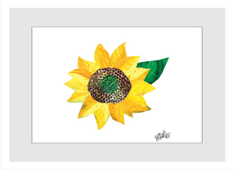 Yellow Sunflower