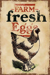Chicken Fresh Eggs