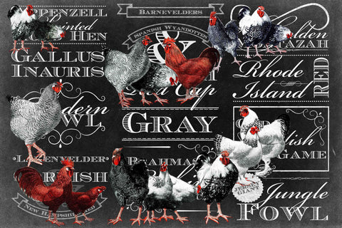 Chicken Chalk