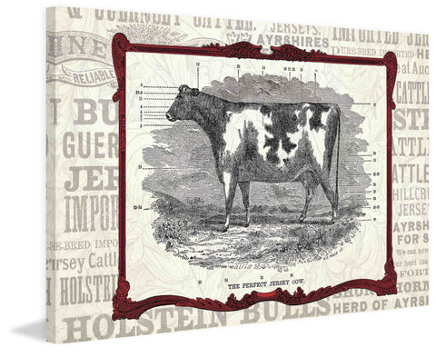 Cow Framed