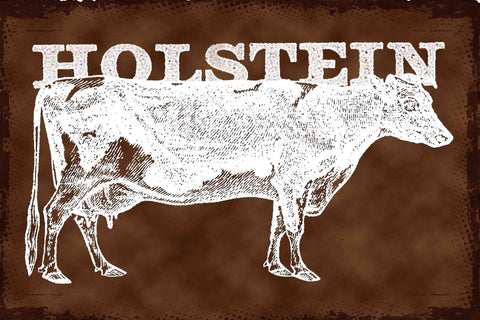Cows Holstein