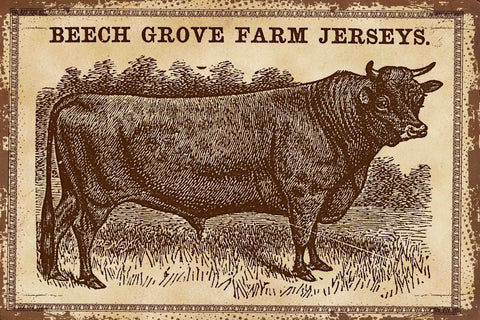 Cows Jerseys 2