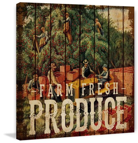 Franklin Farmers Market