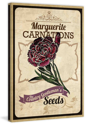 Flower Packet Carnation