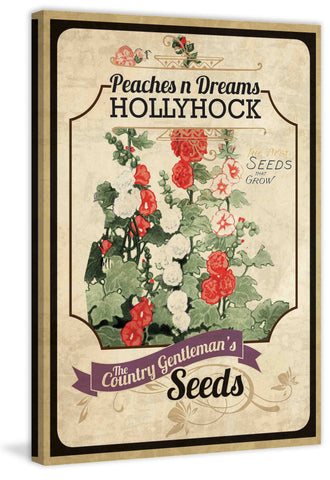 Flower Packet Hollyhock