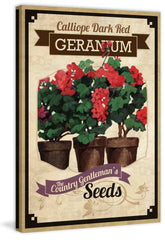 Flower Packet Geranium