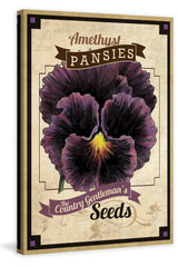 Flower Packet Pansy