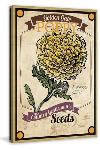 Flower Packet Poppy