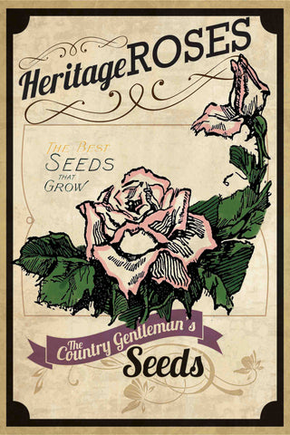 Flower Packet Roses