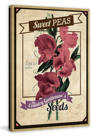Flower Packet Sweet Peas