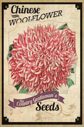 Flower Packet Wool Flower