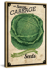 Seed Packet Cabbage