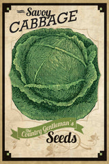 Seed Packet Cabbage