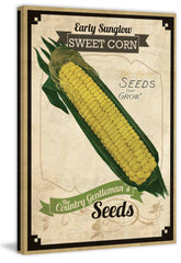 Seed Packet Corn