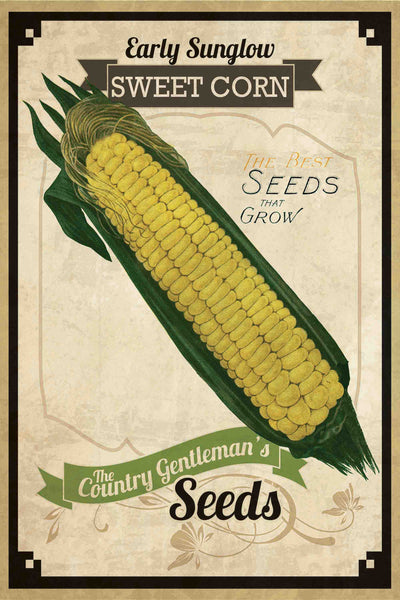 Seed Packet Corn