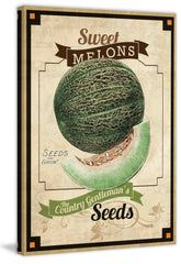 Seed Packet Melon