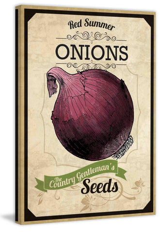 Seed Packet Onion