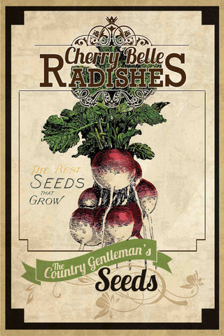 Seed Packet Radishes