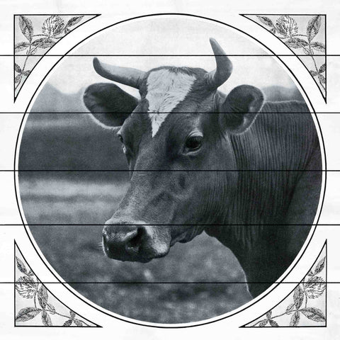 Journal Cow