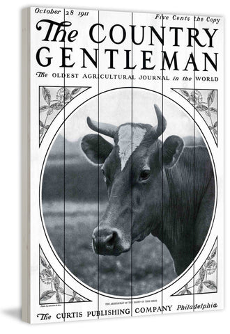 CG Cow