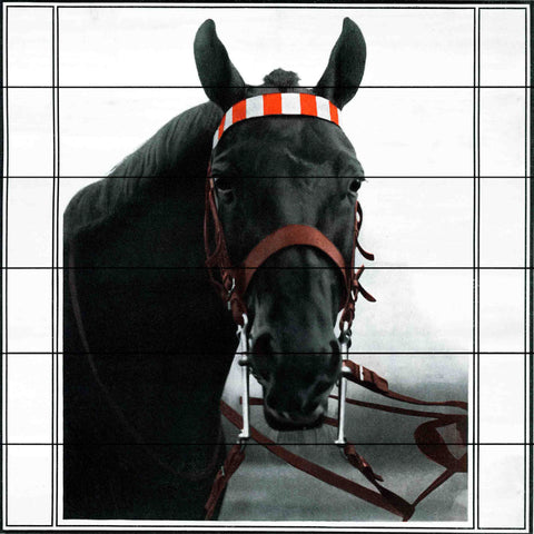 Journal Horse