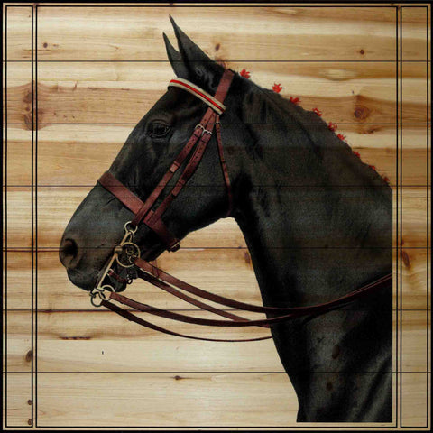 Journal Horse 2