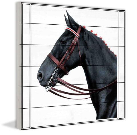 Journal Horse 2