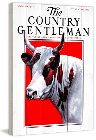 CG Bull