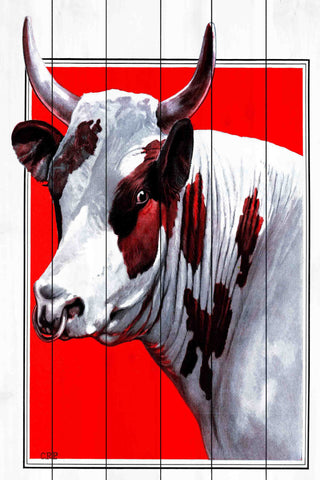 Journal Bull