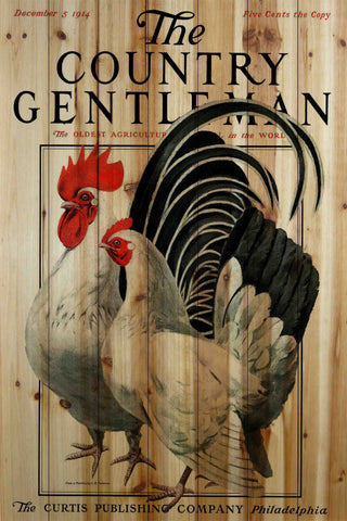 CG Poultry