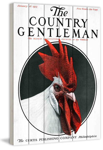 CG Rooster