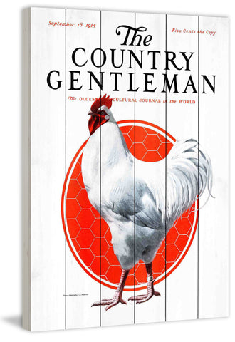 CG Fowl