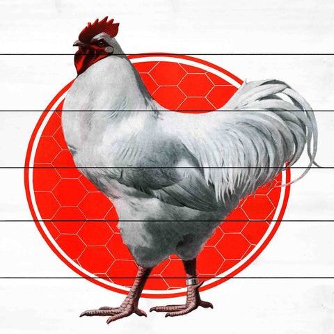 Journal Fowl