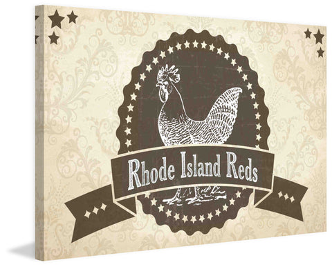 Rhode Island Reds