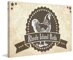 Rhode Island Reds 2