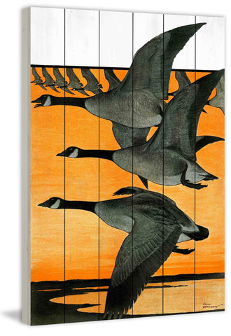 Journal Geese