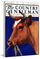 CG Cow Brown