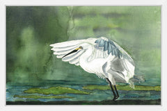 Egret on the Pond
