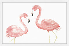 Flamingo Courtship