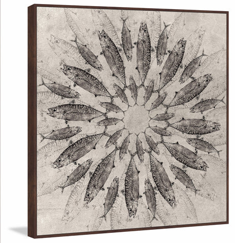 Concentric Fish