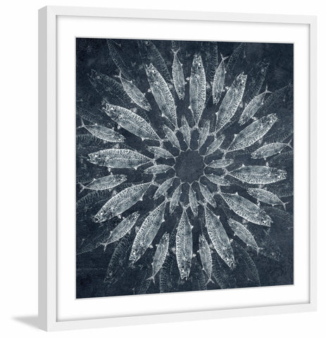 White Burst