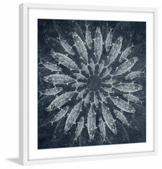 White Burst