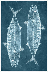 Two Fish II