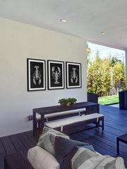 Tres Locusta Triptych