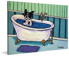 Boston Terrier Bath