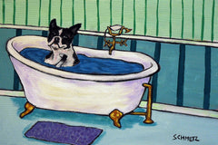 Boston Terrier Bath