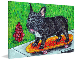 French Bulldog Skateboarding