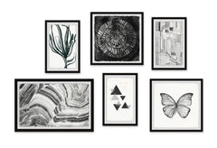 Fascinating Life Hexaptych