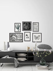 Fascinating Life Hexaptych