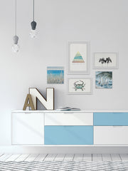 Crabs Point of View Pentaptych